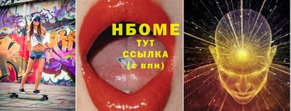 мет Алексин