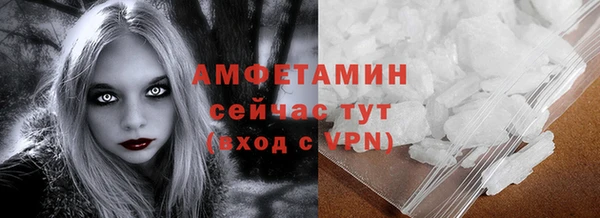 мет Алексин