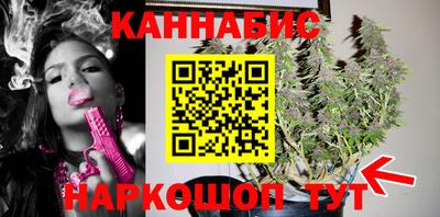 гашик Новозыбков