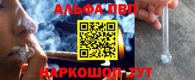 гашик Новозыбков
