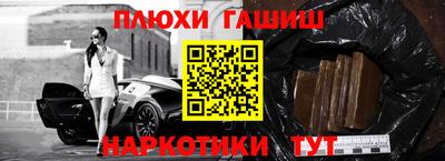 гашик Новозыбков