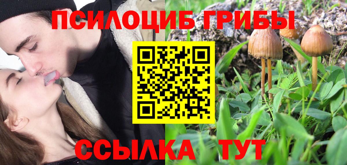 Арзамас  что такое   Вход с VPN  Псилоцибиновые грибы Magic Shrooms 
